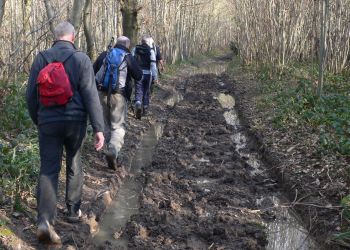 The Somme Revisited