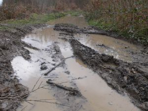 Not much drier than last time
